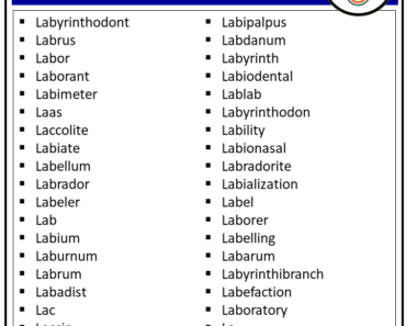 300 Nouns that Start with L