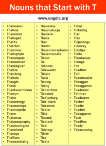 synonym for assignment starting with t