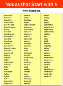 200+ Nouns that Start with V (All Types and Pictures) - EngDic