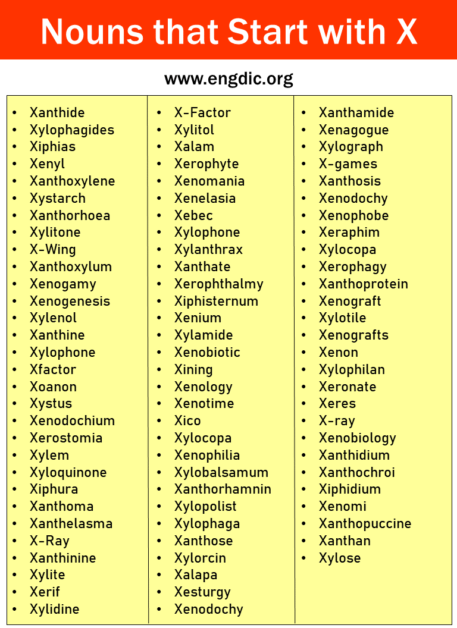 100+ Nouns that Start with X (All Types and Pictures) - EngDic