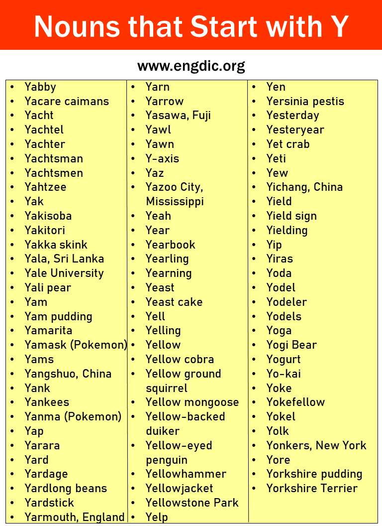 nouns that start with y picture 1