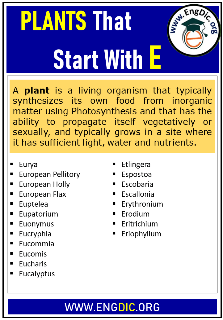 plants that start with e