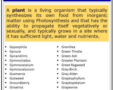 2500 Plants That Start With G (Complete List)