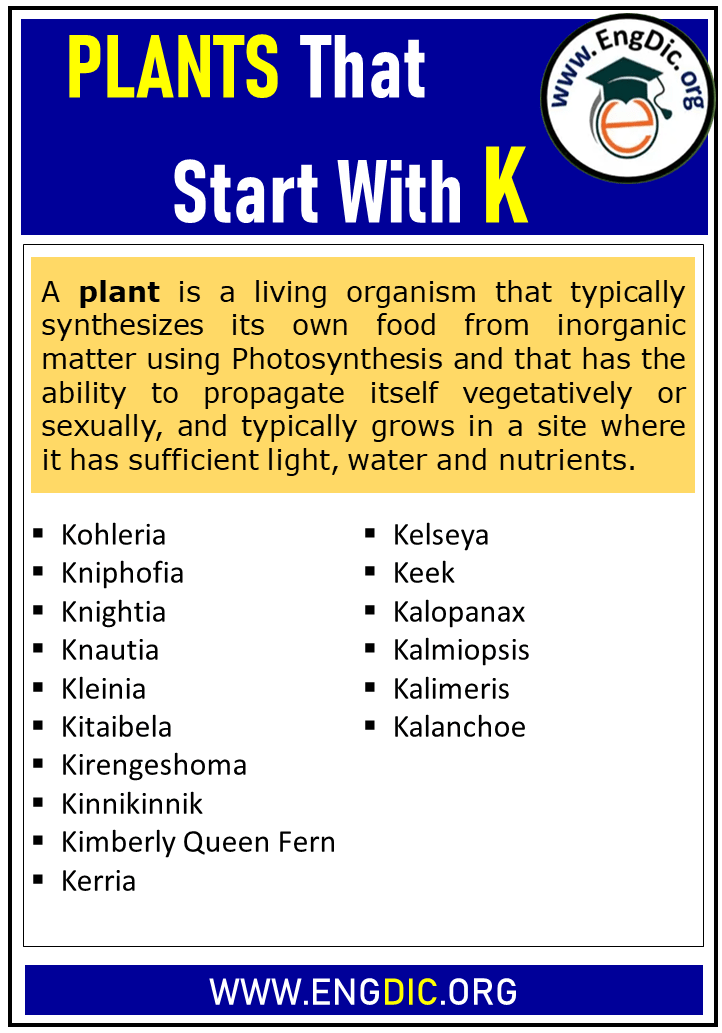 14+ Plants That Begin With K