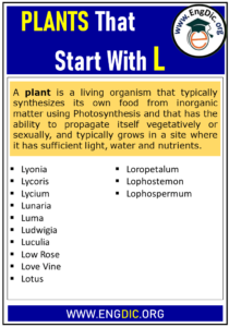 1000+ Plants That Start With L (Complete List) - EngDic