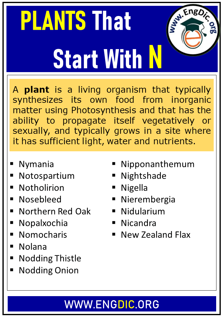 plants that start with n