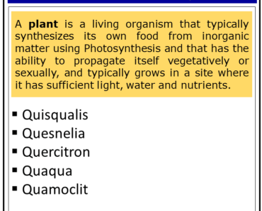 Plants That Start With Q