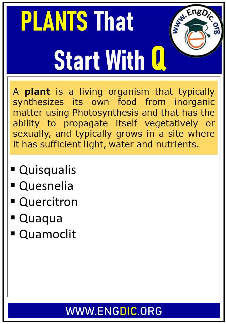plants that start with q