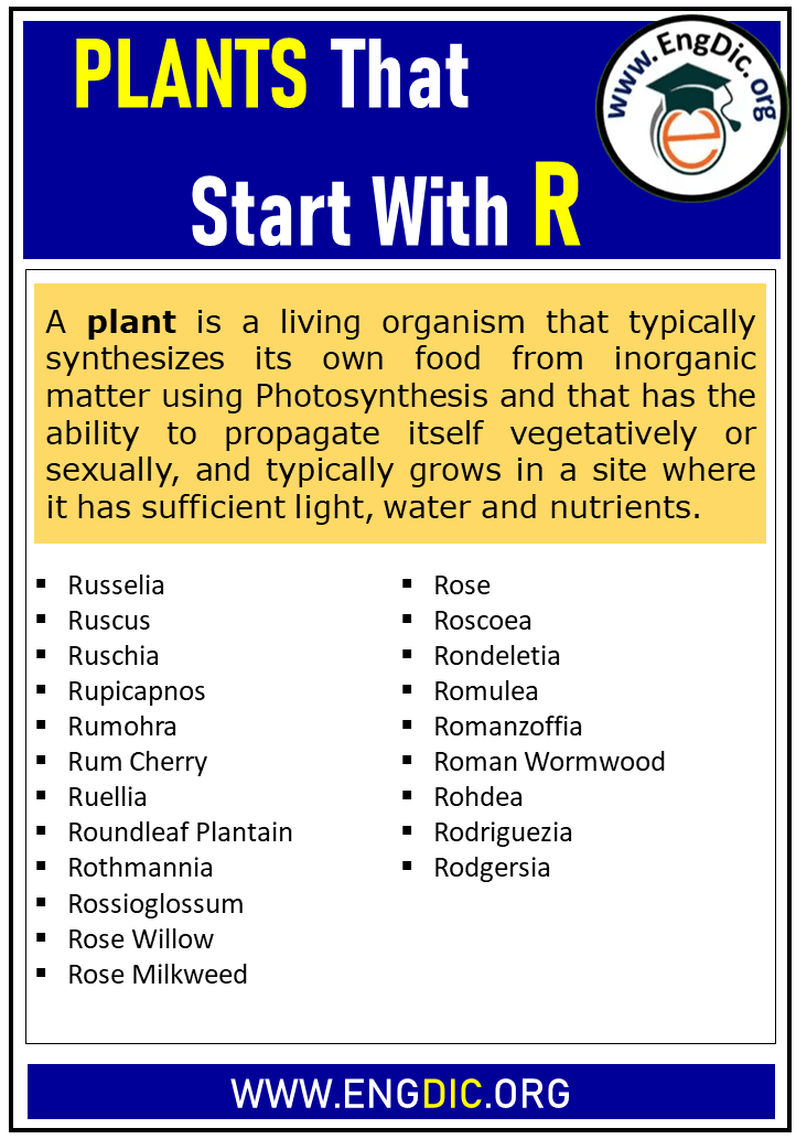 plants that start with r