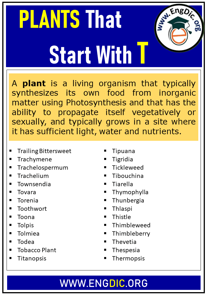 plants that start with t