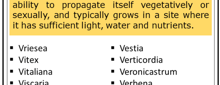 200+ Plants That Start With V (Complete List)