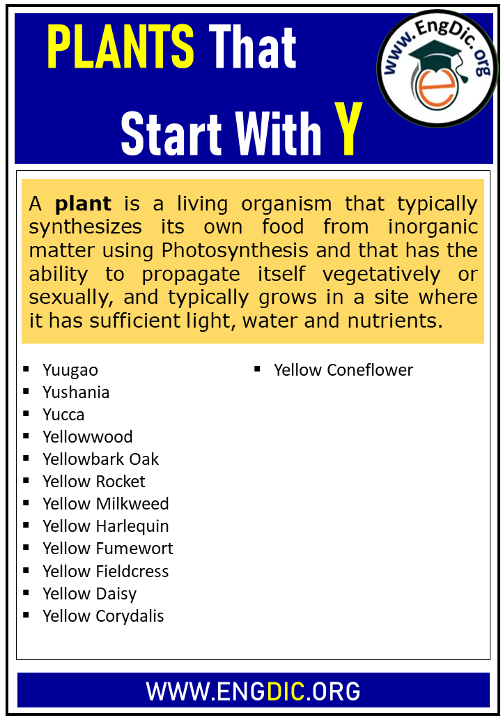 plants that start with y