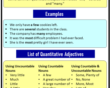 45+ List of Quantitative Adjectives in English