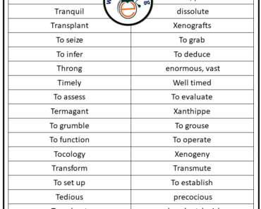 100 Synonyms That Starts with T, Synonyms with T