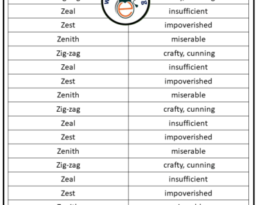 80+ Synonyms That Starts with Z, Synonyms with Z