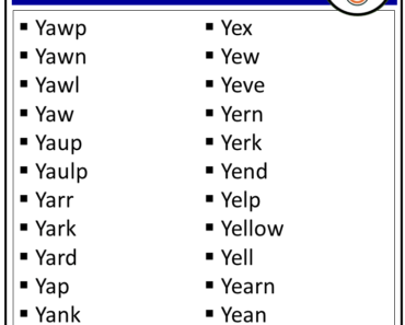 50 Verbs Starting with Y