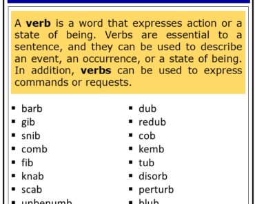 50+ Verbs That End With B (Complete List)