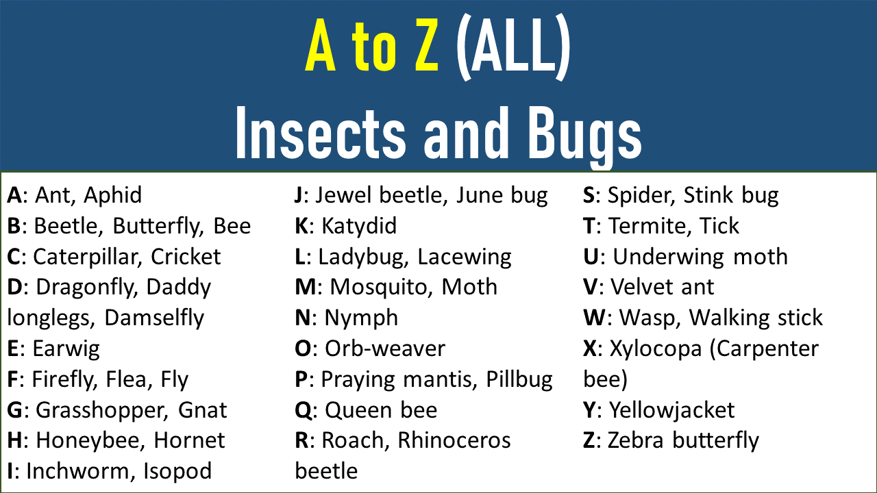List Of Bugs A To Z