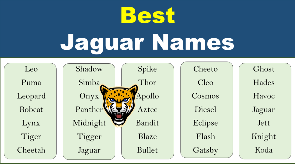 200+ Best Jaguar Names (Male, Female, Baby ) - EngDic