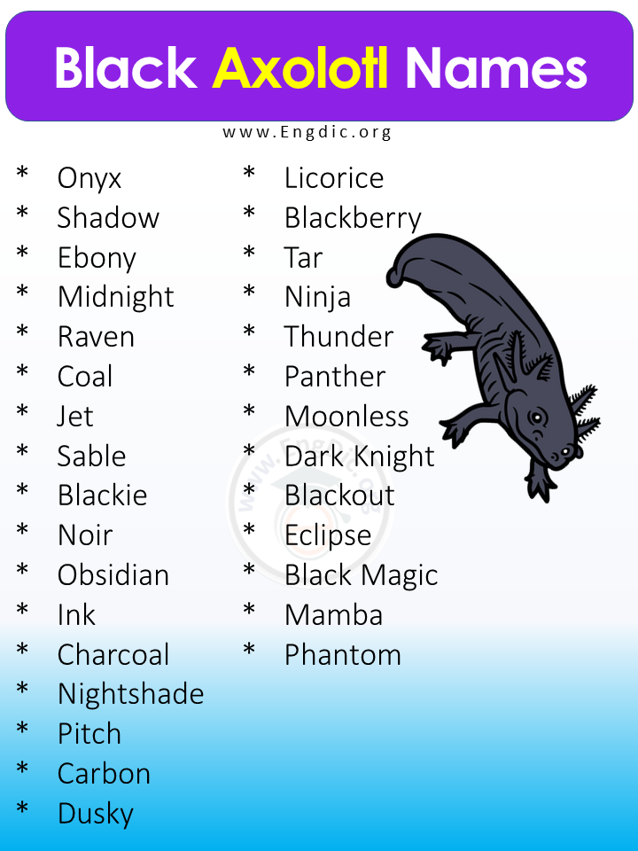 Black Axolotl Names