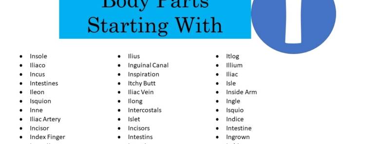 50+ Body Parts That Start With I