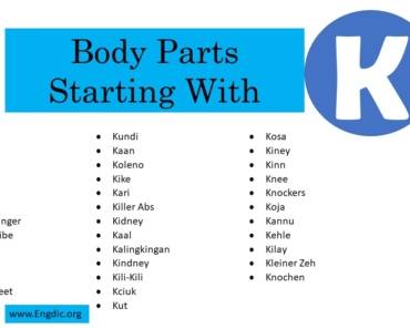 40+ Body Parts That Start With K