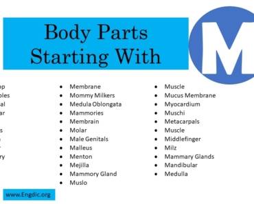 Body Parts That Start With M