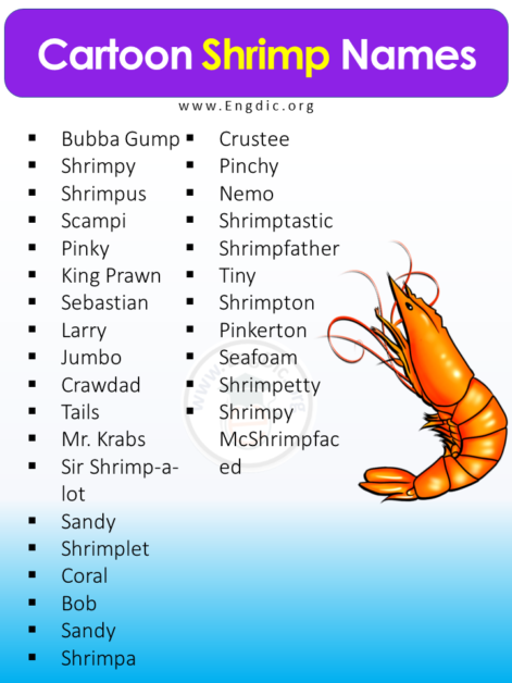 200+ Best Pet Shrimp Names (Cute and Funny) – EngDic