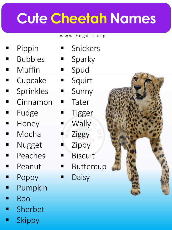 Cute Cheetah Names