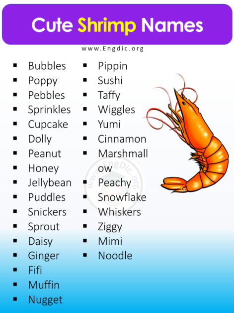 200+ Best Pet Shrimp Names (Cute and Funny) - EngDic
