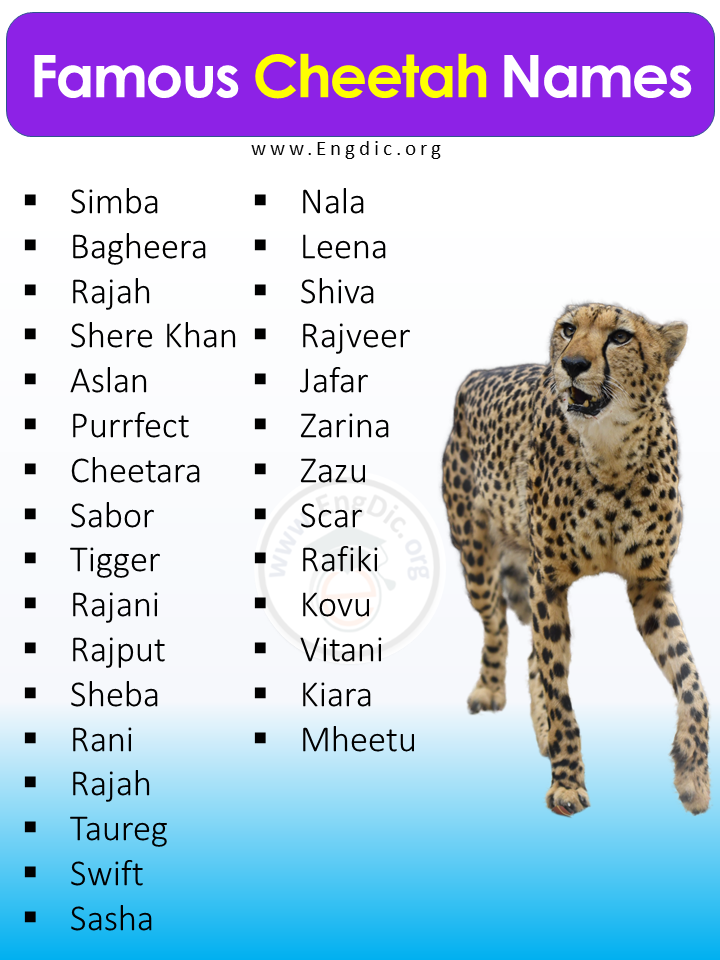 Famous Cheetah Names