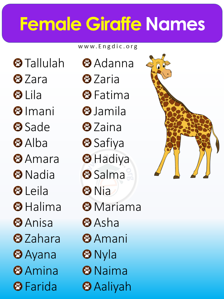 madagascar-baby-names