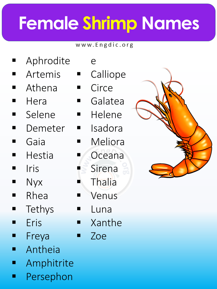 Female Shrimp Names