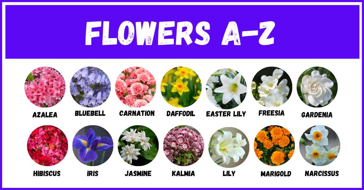 Flowers A Z