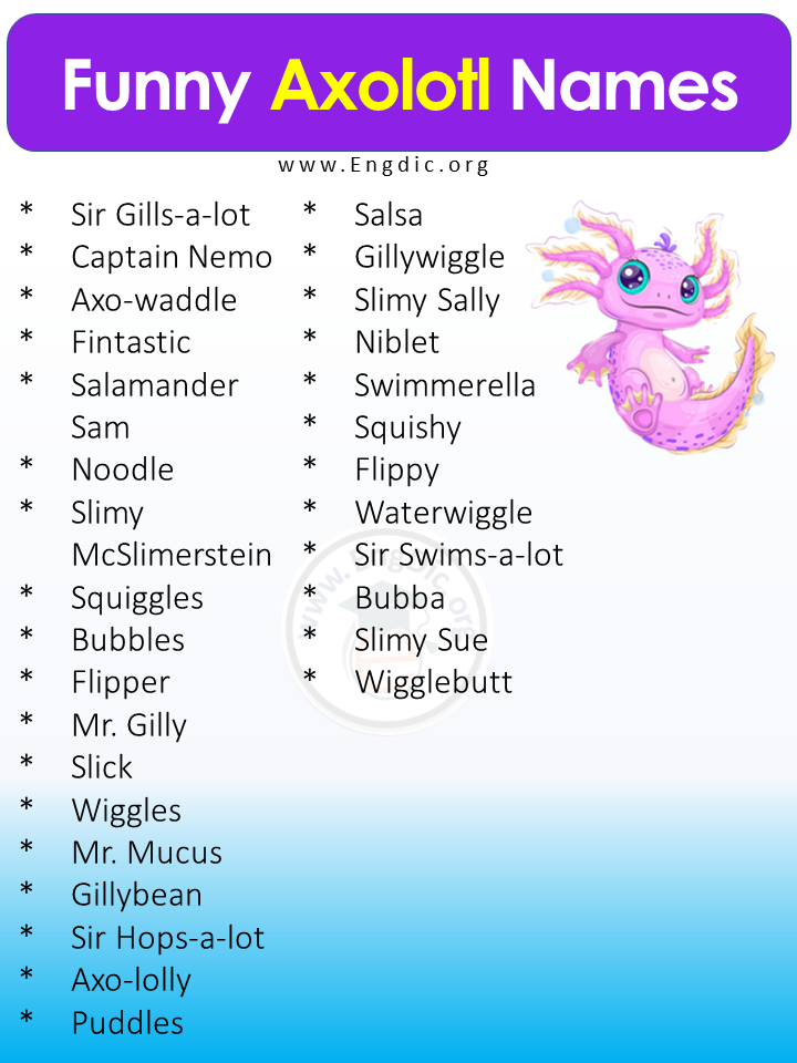 400+ Best Pet Axolotl Names (Male, Female), Cute Axolotl Names - EngDic