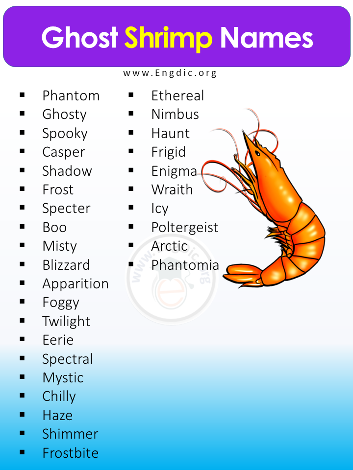 200+ Best Pet Shrimp Names (Cute and Funny) - EngDic