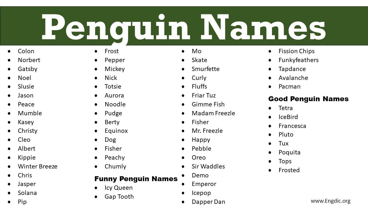 350+ Most Popular Penguin Names (Cute and Funny) EngDic