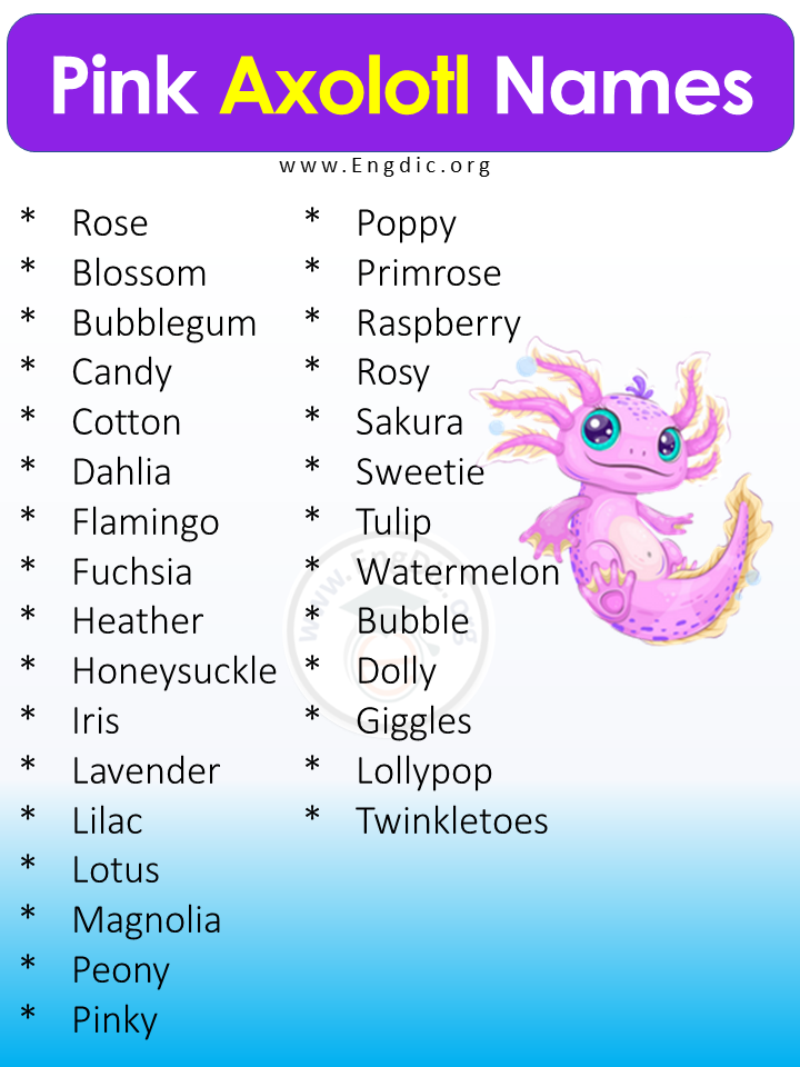 Pink Axolotl Names