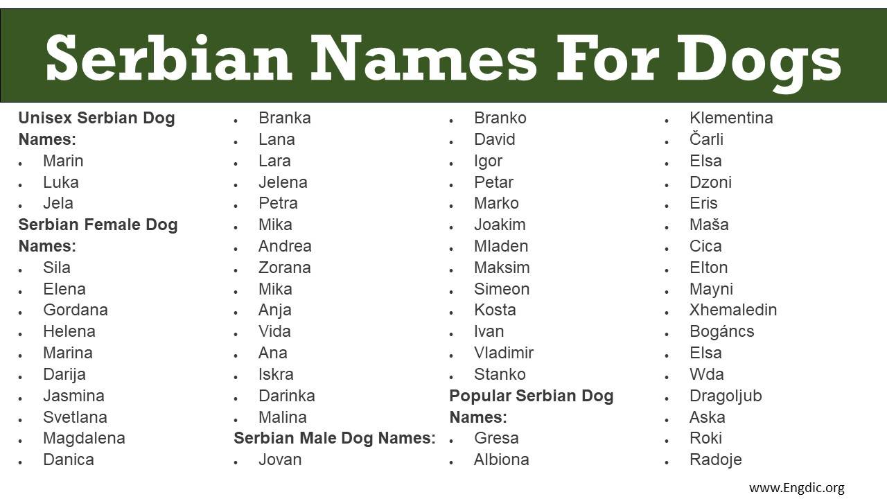Serbian Names For Dogs