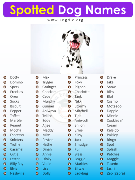 300+ Best Spotted Dog Names (Male, Female, Unisex) - EngDic