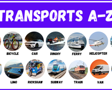 All Transports Beginning with A to Z