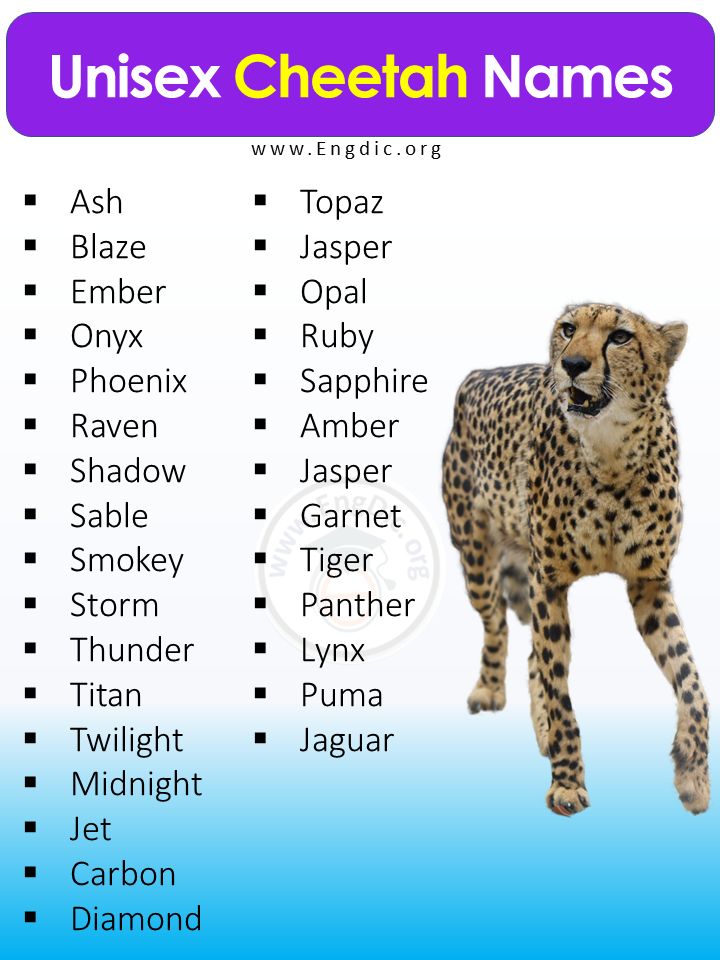 Unisex Cheetah Names