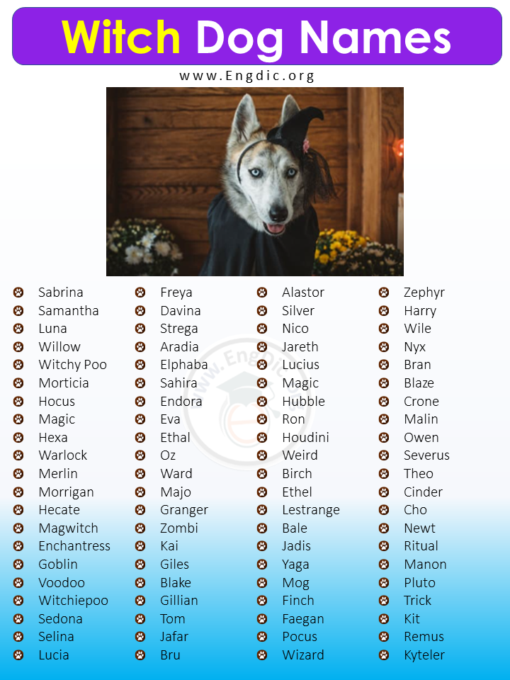 300+ Popular Witch Dog Names (Male, Female, Unisex) - EngDic