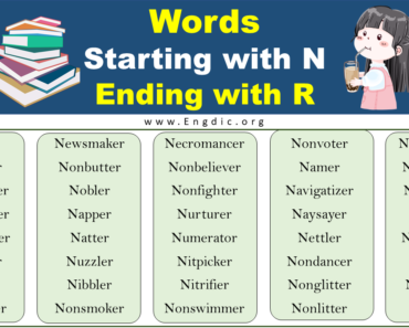 Words Starting With N and Ending With R (Complete List)