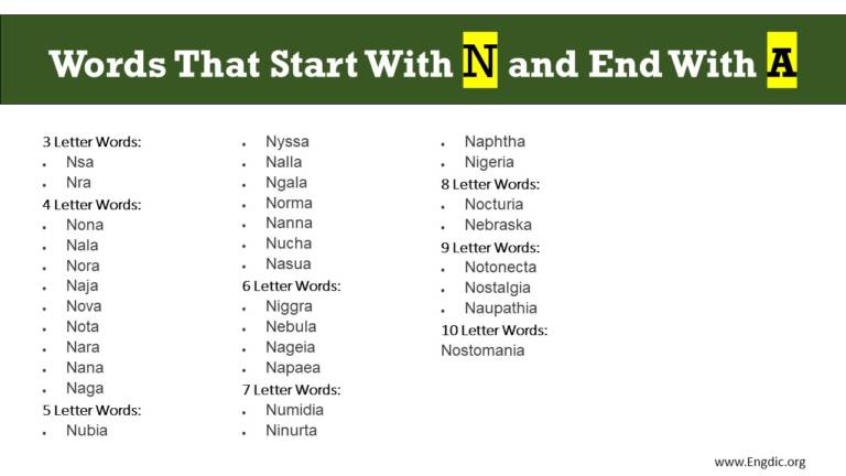 Words Starting With N and Ending With A - EngDic