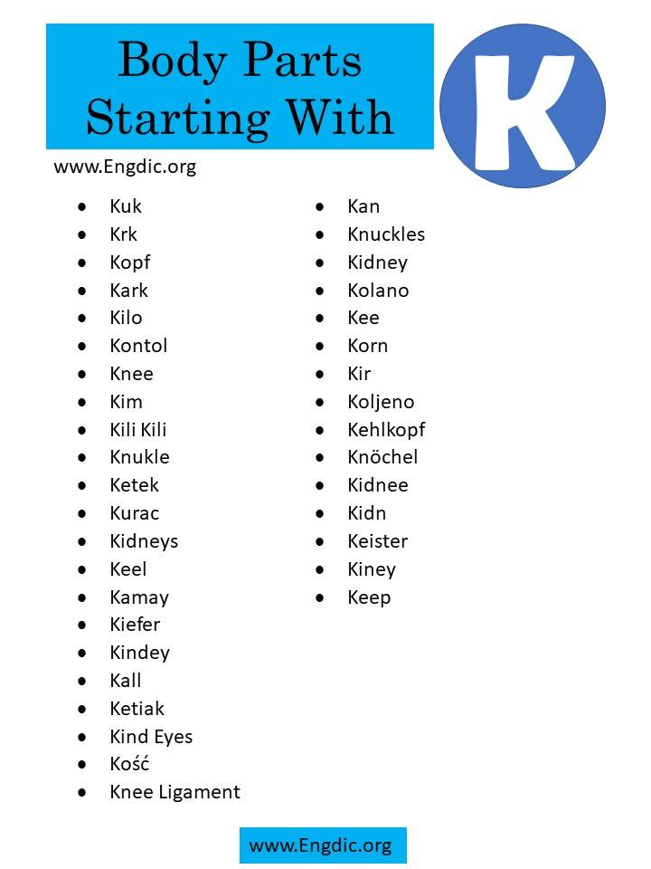 body parts beginning with k