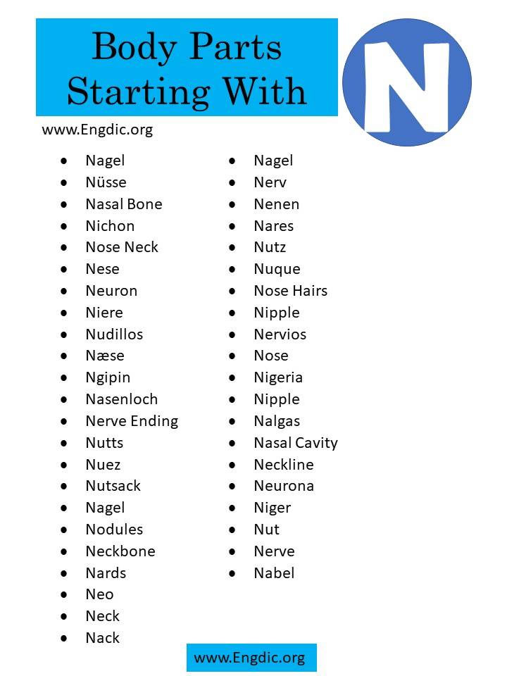 body parts starting with n