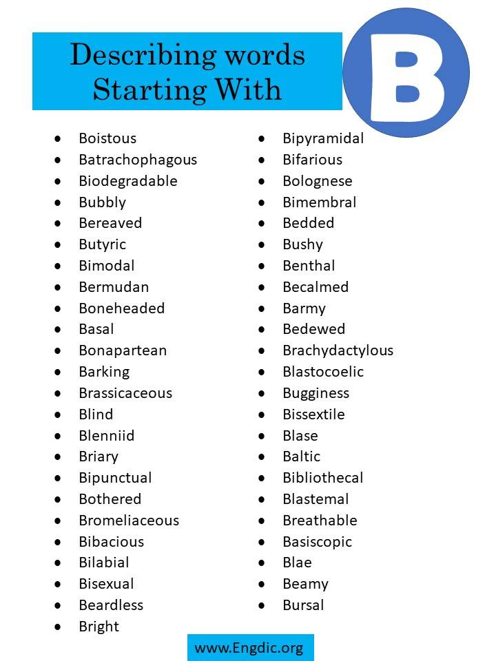 describing words starting with b 3