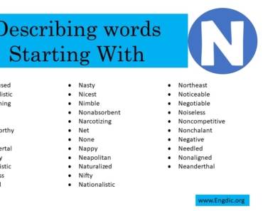 Describing Words That Start With N
