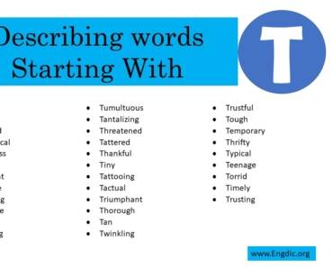 Describing Words That Start With T